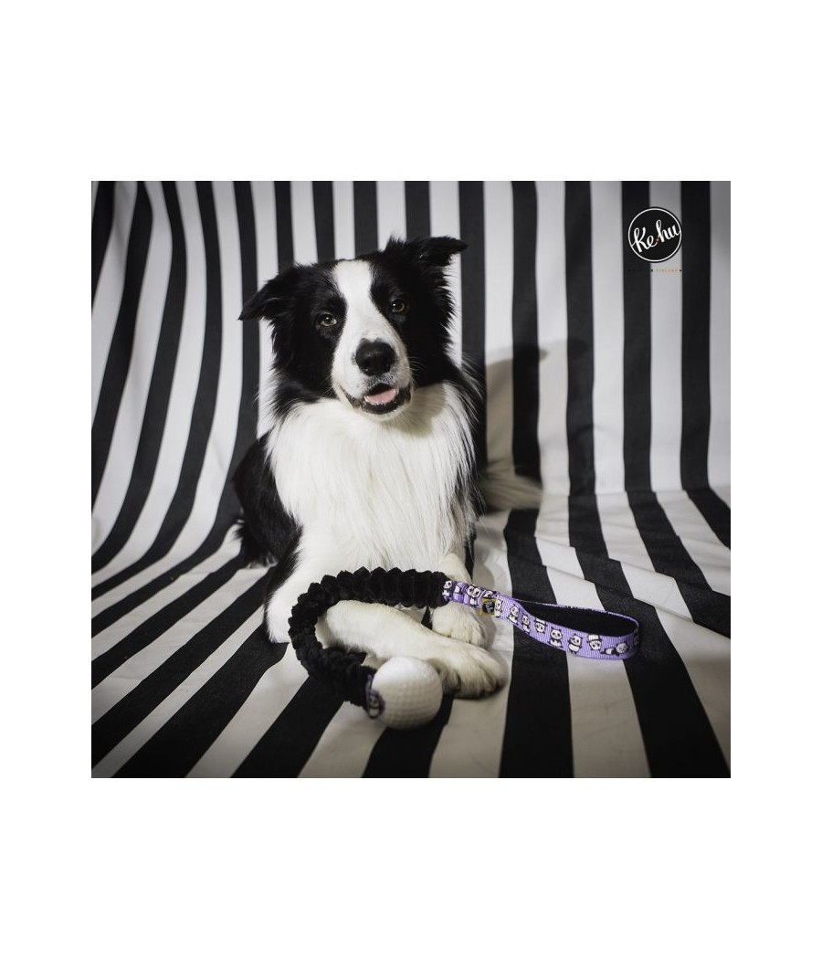 Ke-hu Panda