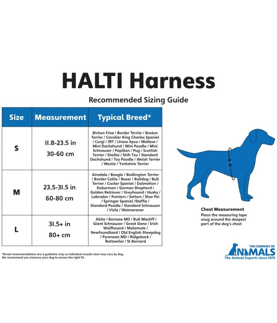 Halti sizes best sale