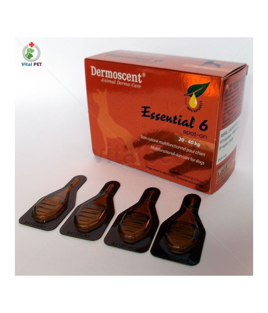 Dermoscent essential 6 αμπούλες